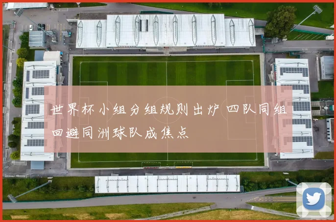 世界杯小组分组规则出炉 四队同组回避同洲球队成焦点
