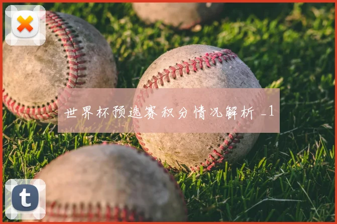 世界杯预选赛积分情况解析 _1