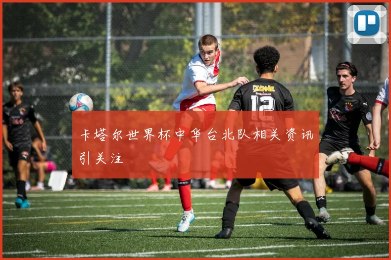 卡塔尔世界杯中华台北队相关资讯引关注